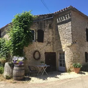Les Gonies - Amande , Mauroux (Lot) Frankrijk