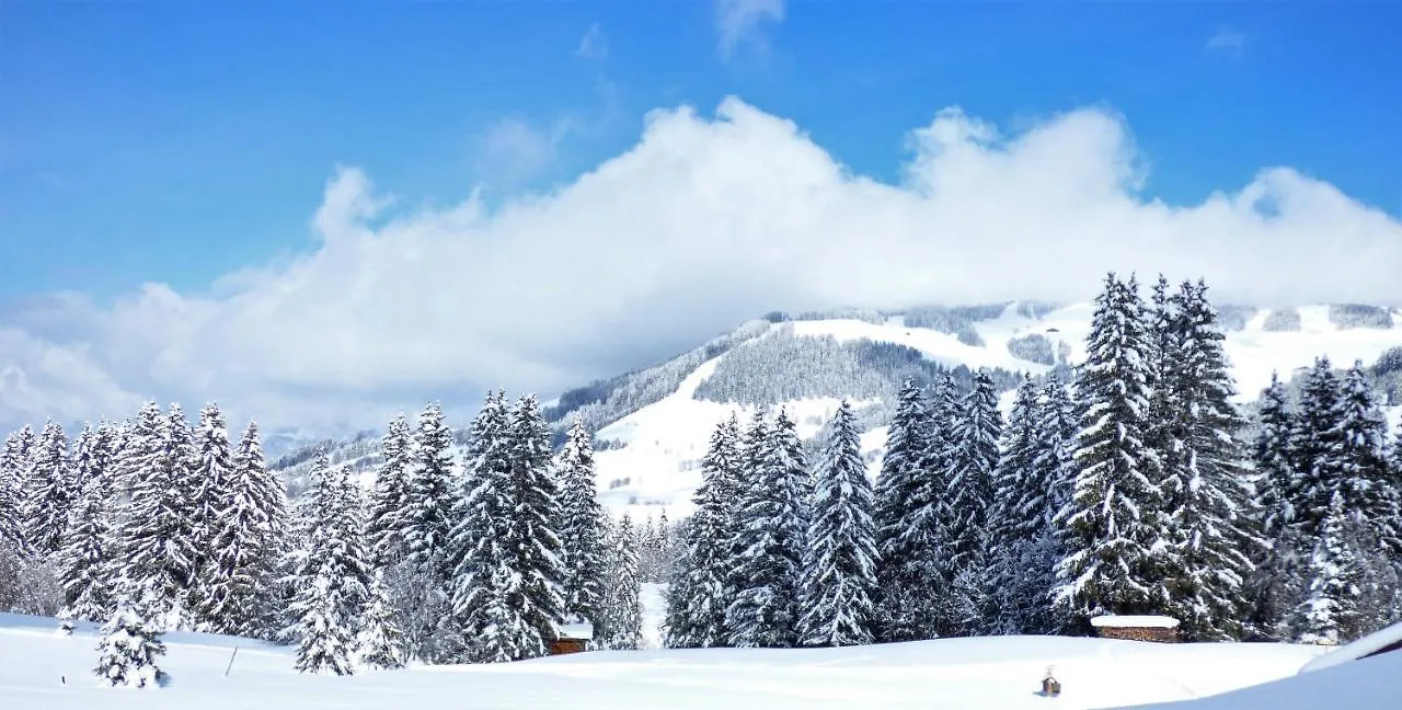 Hotel La Grange D'Arly Megève 3*,